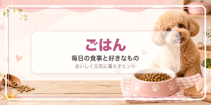 ごはん