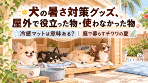 犬の暑さ対策グッズ 屋外で役立った物・使わなかった物