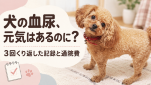 血尿アイキャッチ画像