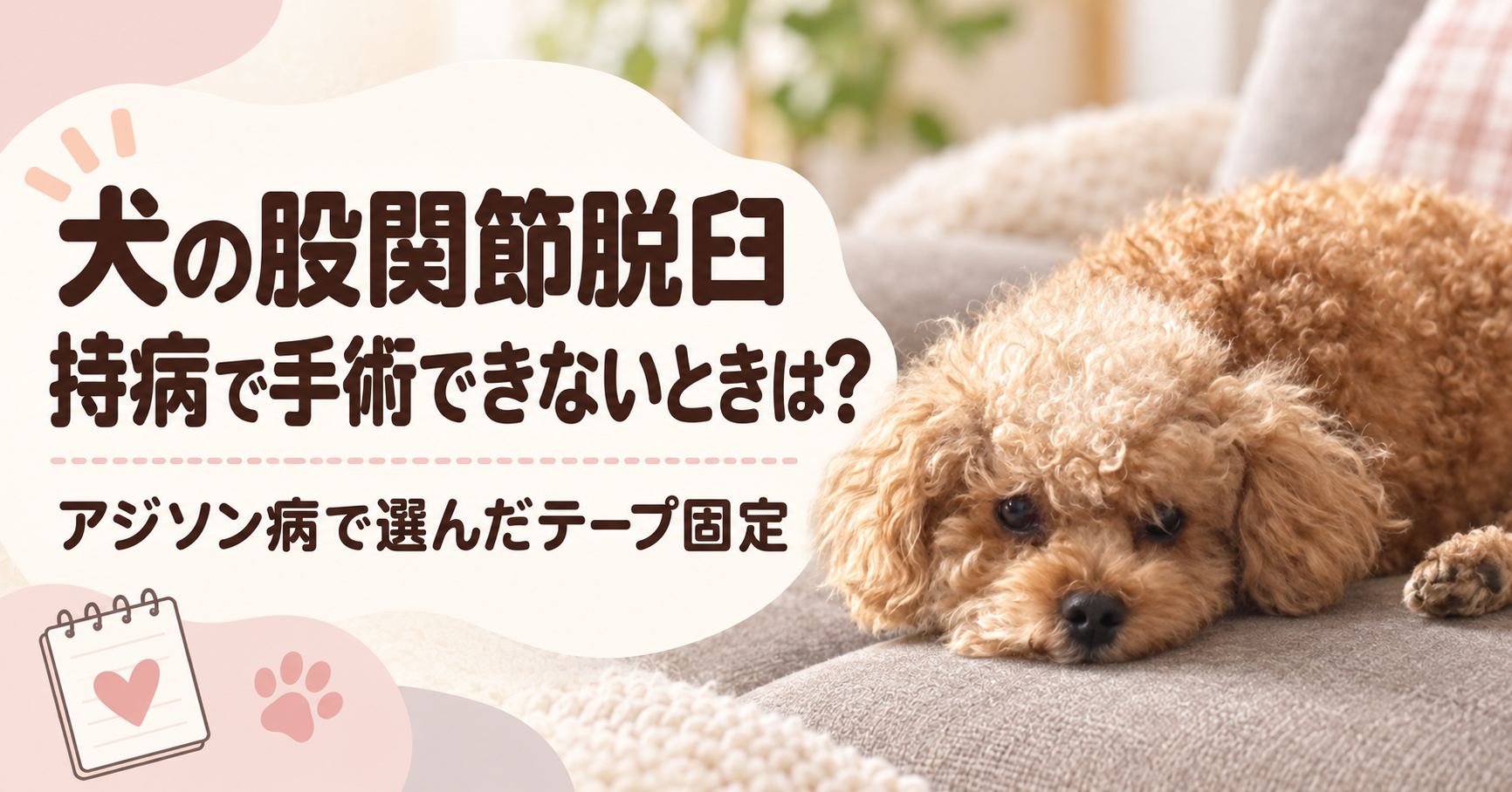 関節脱臼アイキャッチ画像
