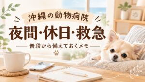 沖縄の動物病院 夜間・休日・救急｜普段から備えておくメモ